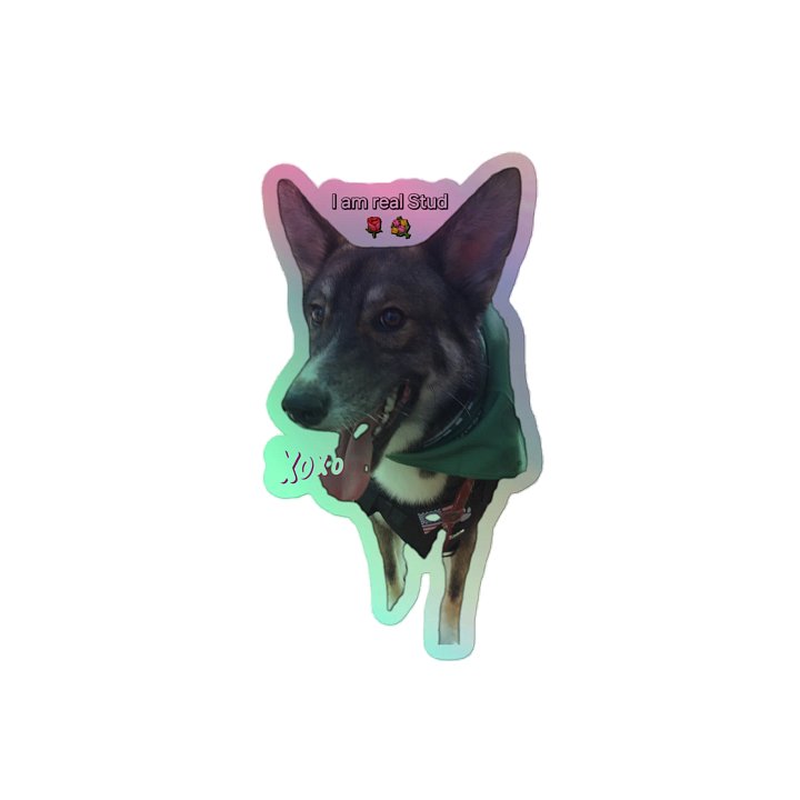 XOXO Stud dog product image (2)