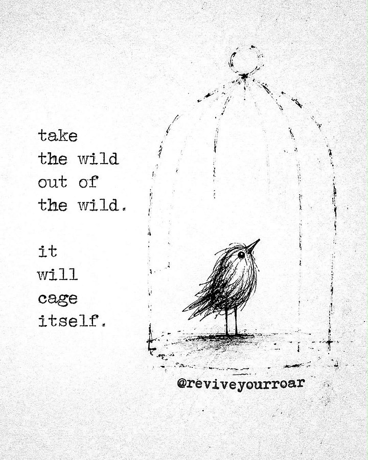 dont lose your wild to a cage that’s not there product image (1)