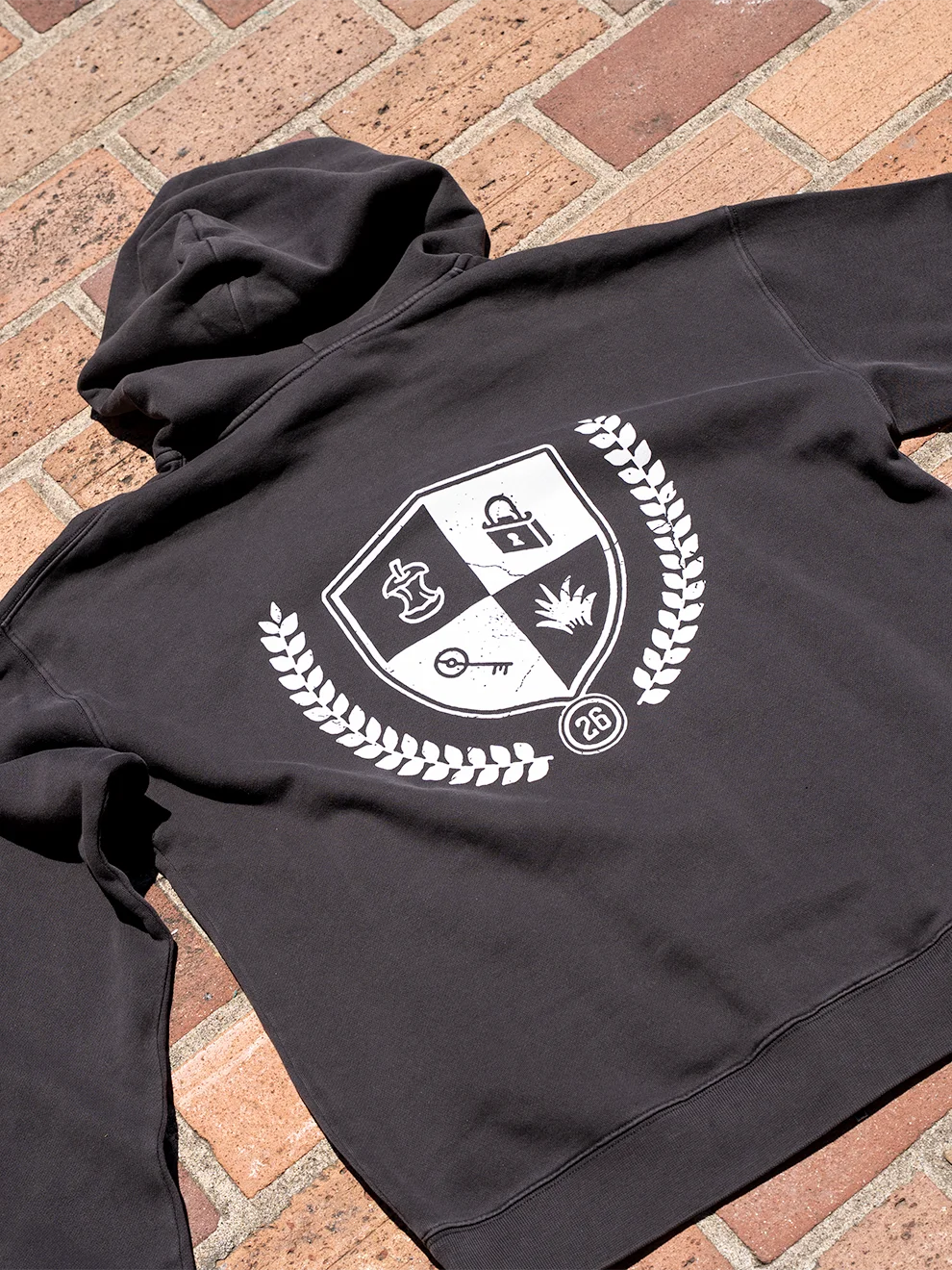 Collegiate Zip Hoodie product image (4)
