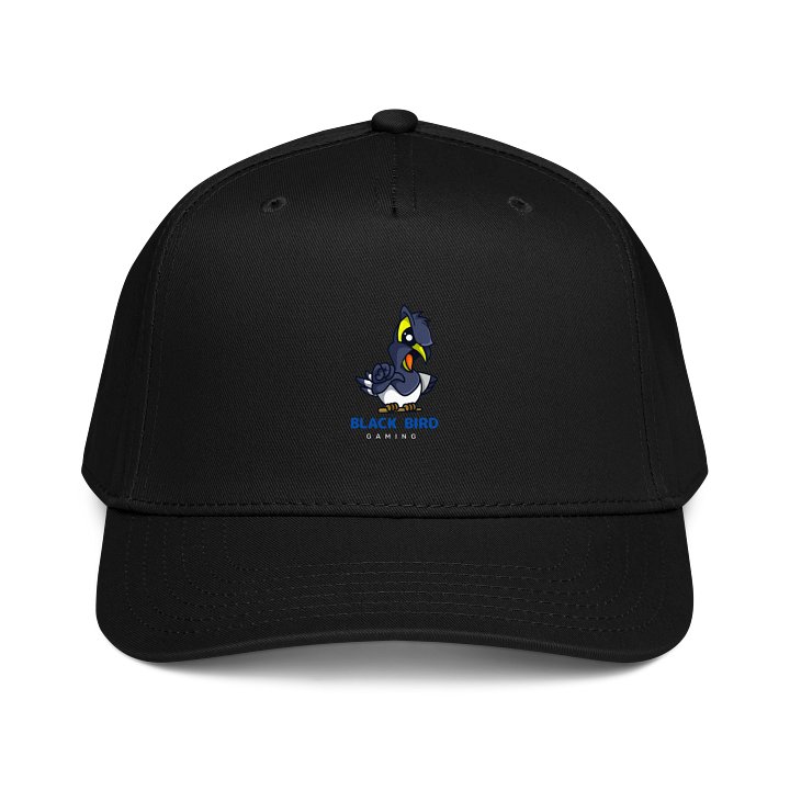 Larry Baseball Cap product image (1)