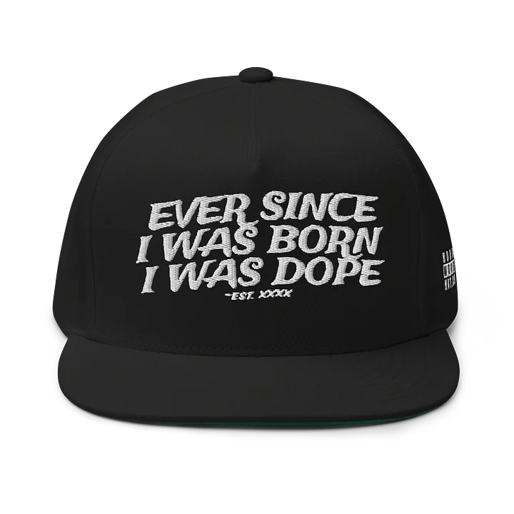 EVER SINCE - Embroidered SnapBack Flatbill product image (1)