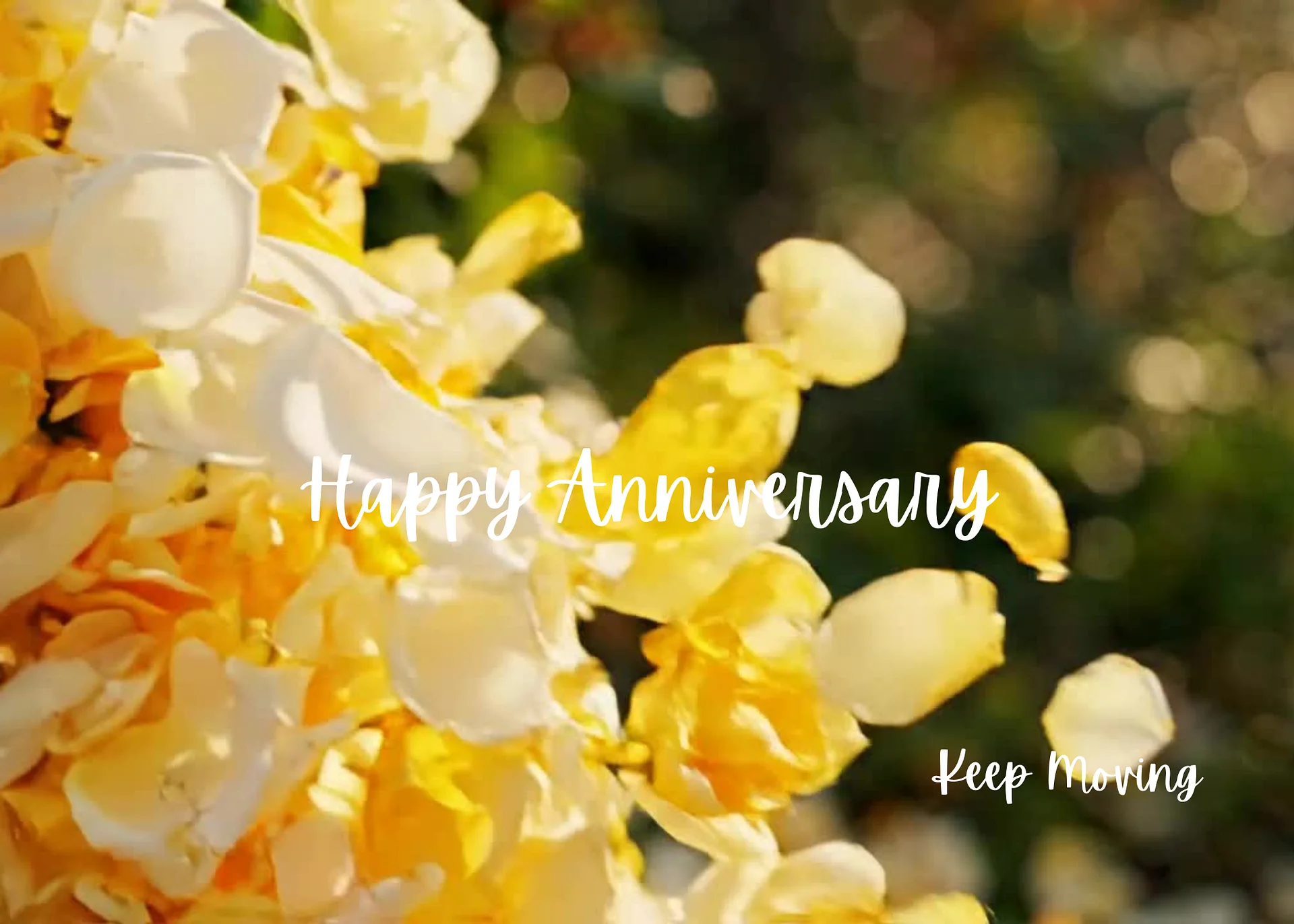 Still Rolling: Anniversary product image (6)