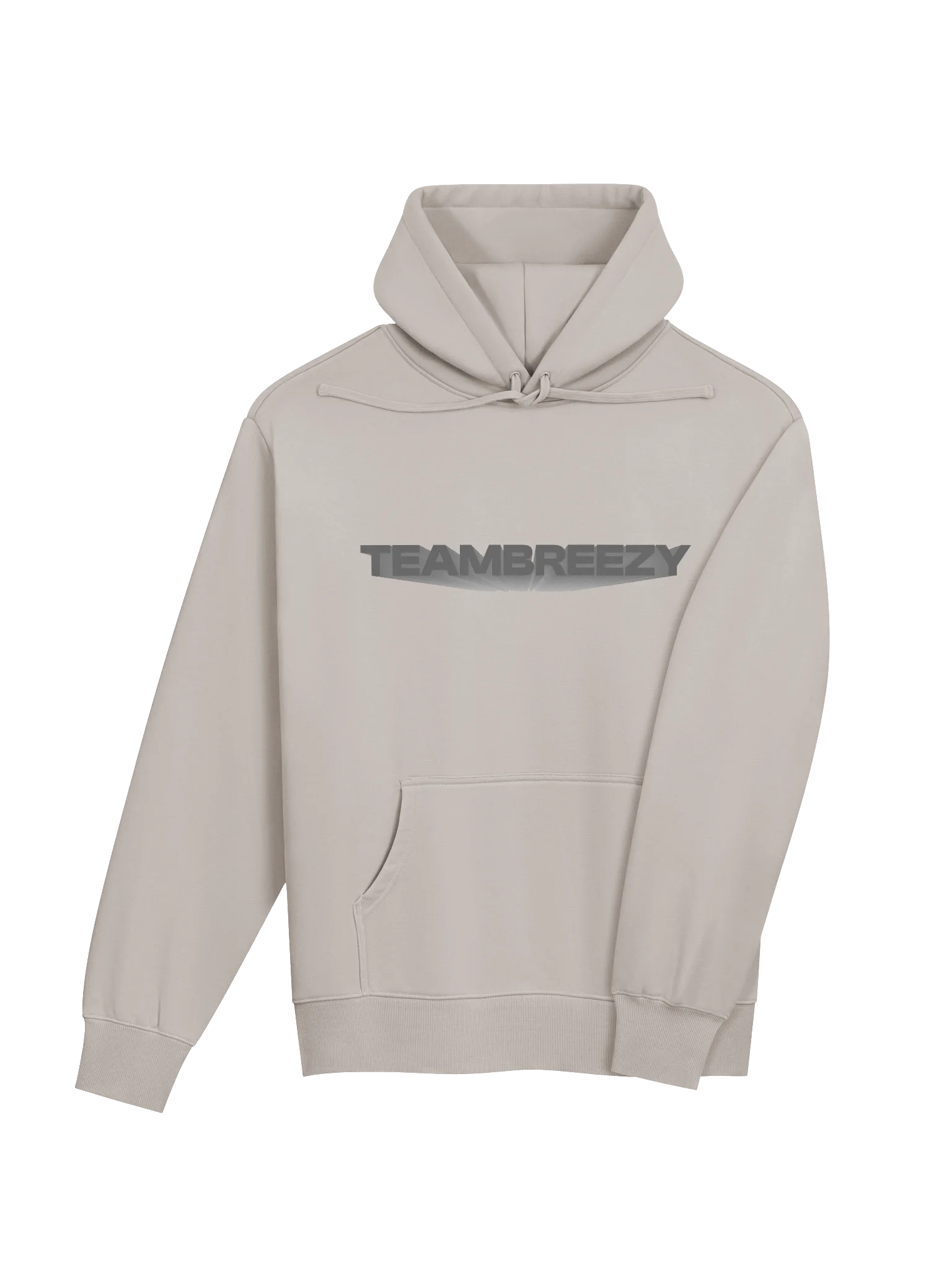 TEAM BREEZY HOODIE product image (4)