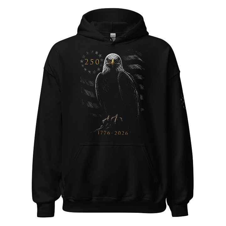 250 Eagle Shadow Hoodie product image (1)