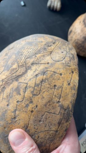 The Buga Sphere brings more mystery than just the crashed metal sphere. #hiddenhistory #markofthebeast #anunnaki #aliencarvin...