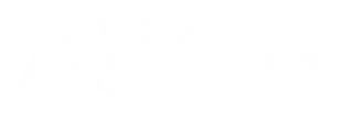 RIFT_VR