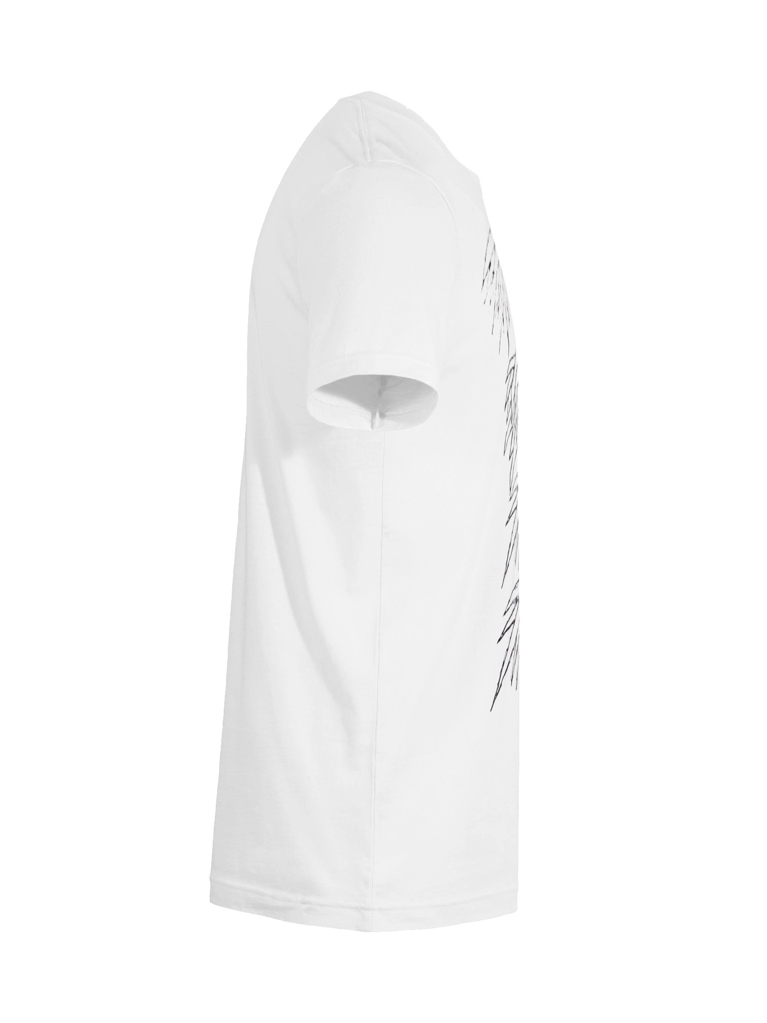 𝗧𝗵𝗲 𝗪𝗶𝗻𝗴𝘀 product image (10)