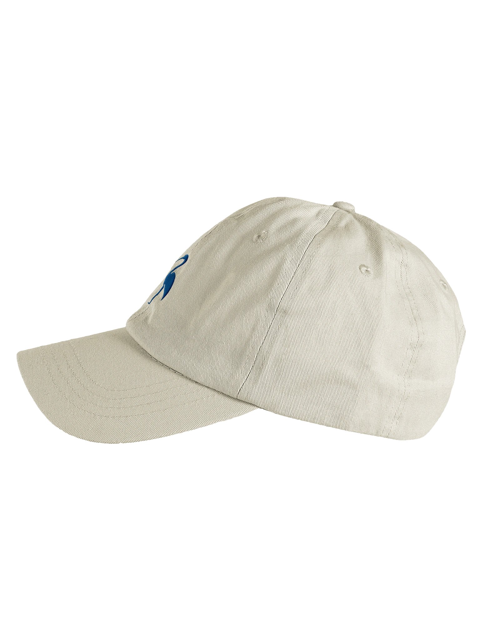 WASHED IBIS HAT product image (3)