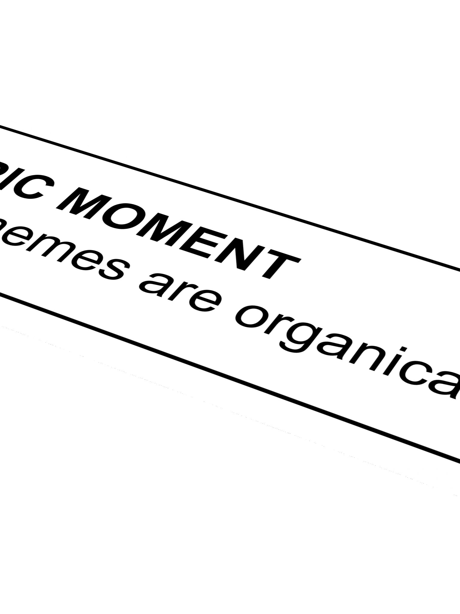 EPIC MOMENT!!! product image (4)