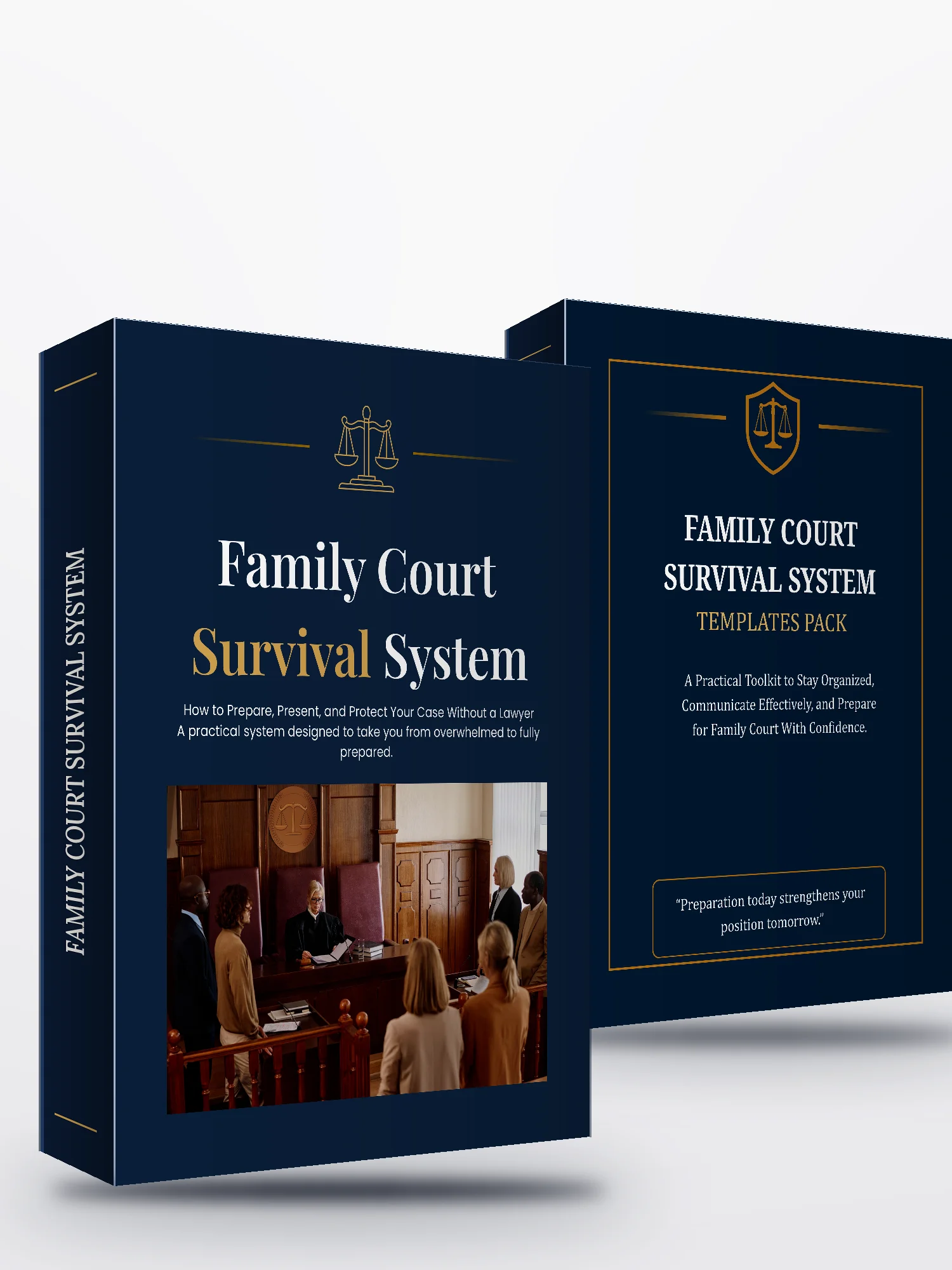 Family Court Survival System product image (2)