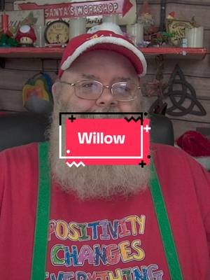 Name Check - Willow #namecheck #jollysleighrider #santanicolas