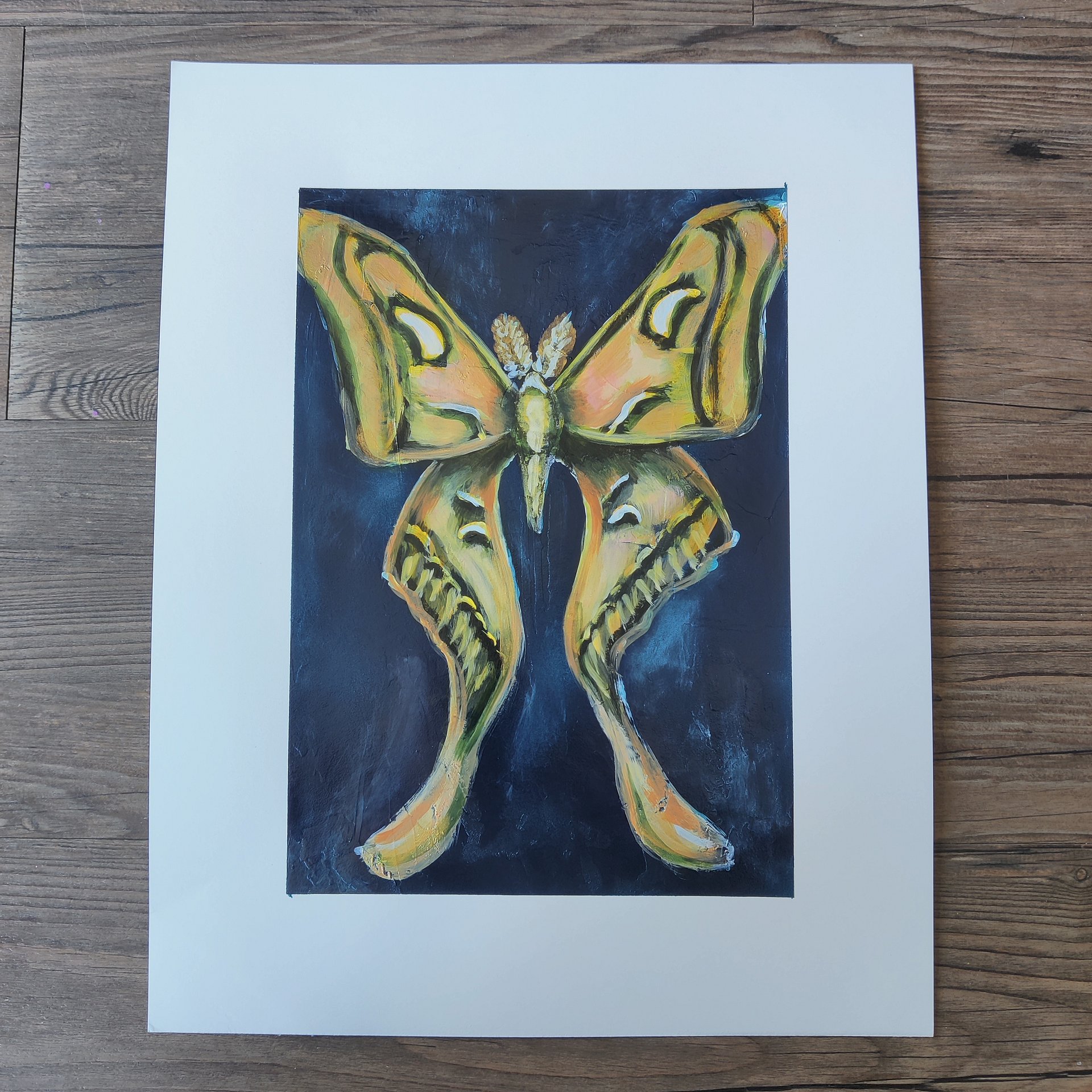 Moth Collection product image (8)