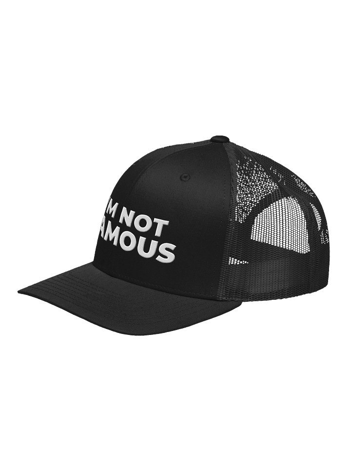 I'm Not Famous Hat product image (4)