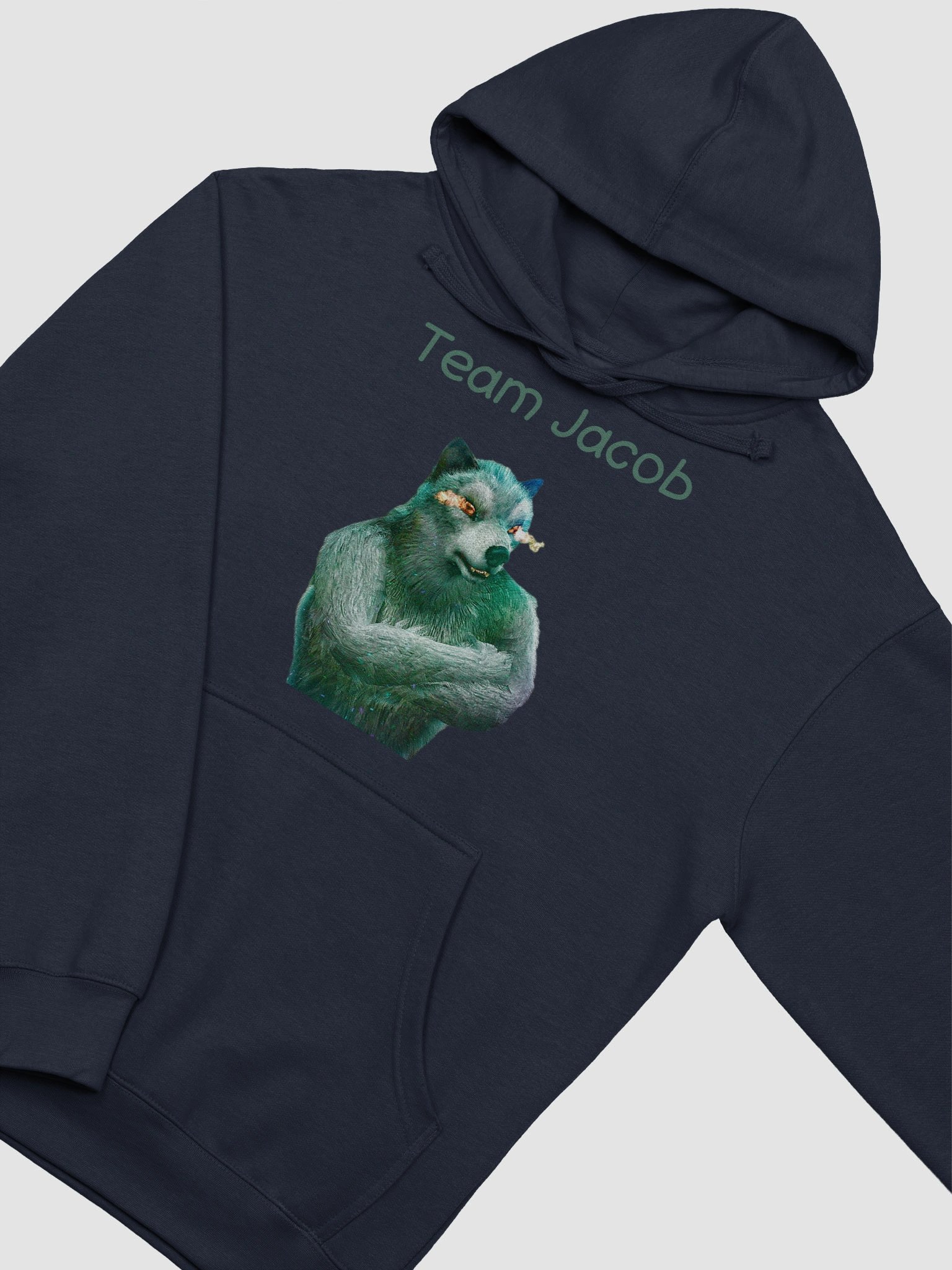 Team Jacob (WOLFSTAR) Hoodie product image (18)