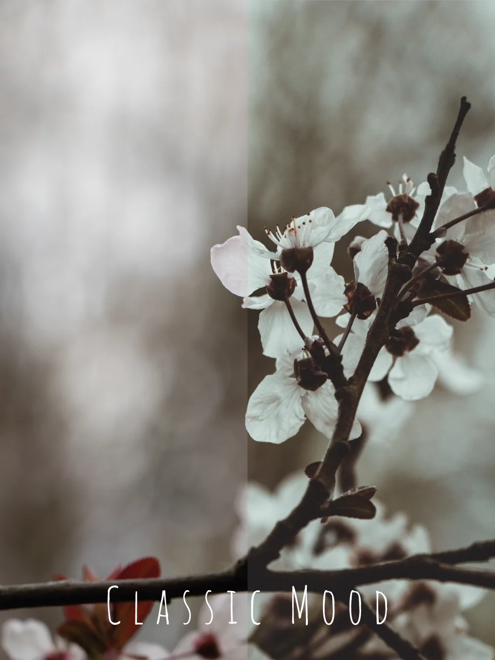 PRESETs PACK product image (5)