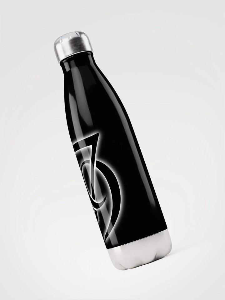 Mirror Image 79 Stainless Steel Bottle product image (1)