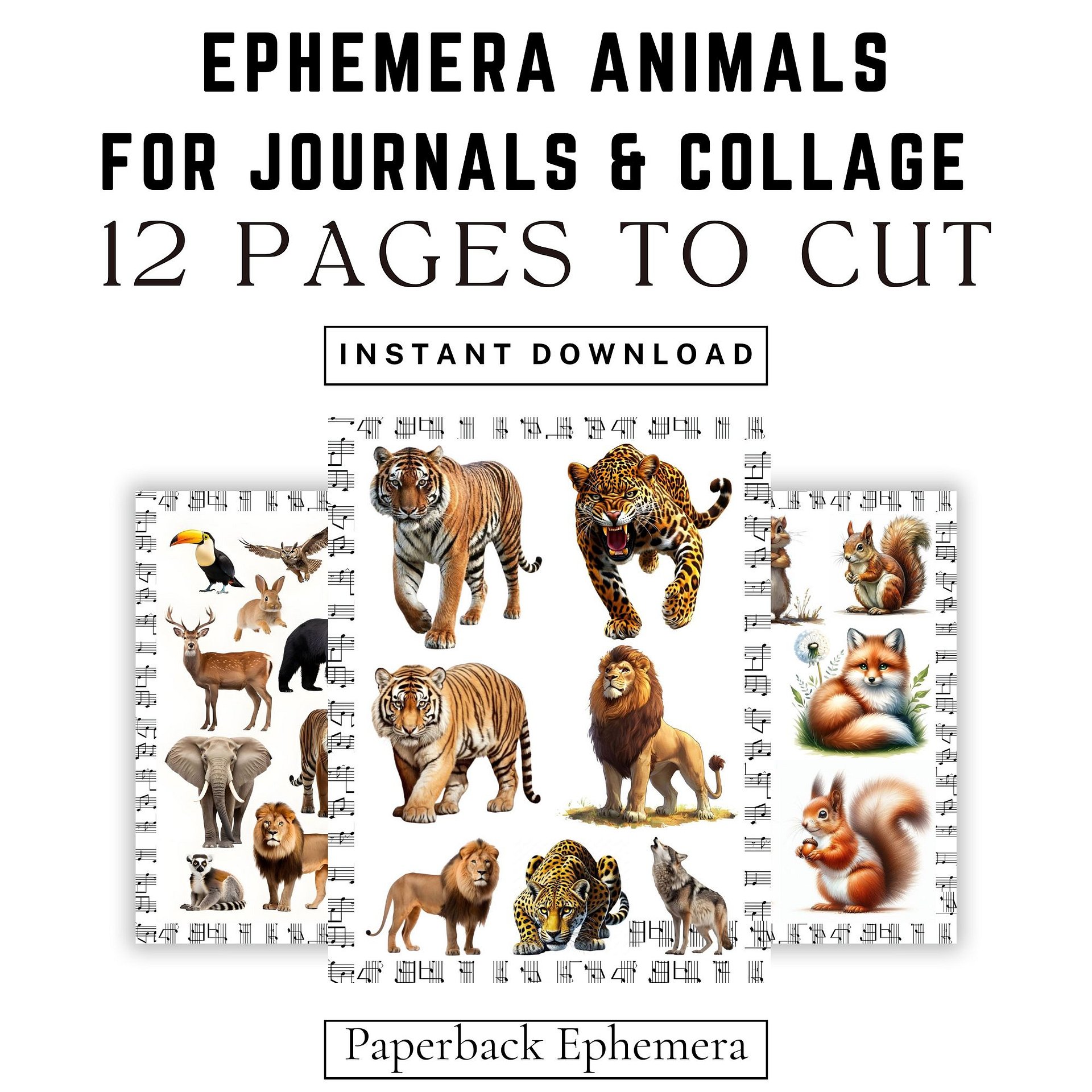 Animal Ephemera Printable PDF – 12 Woodland & Wild Animal Junk Journal Pages product image (4)