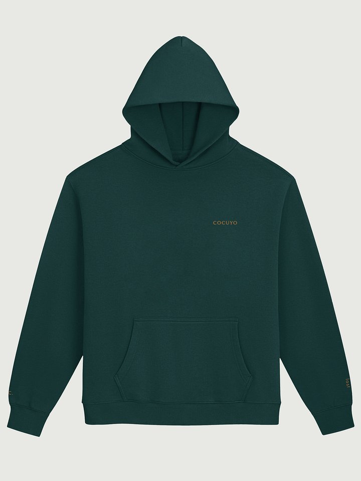 beautifully lost — L.C. | Unisex Premium Oversized Hoodie product image (1)