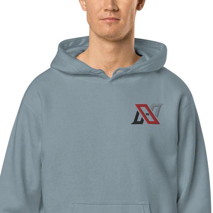 New's Embroidered, Pigment Dyed Hoodie product image (2)