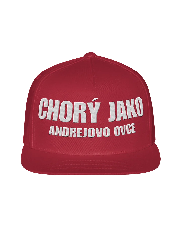 CHORÝ JAKO Andrejovo Ovce product image (1)