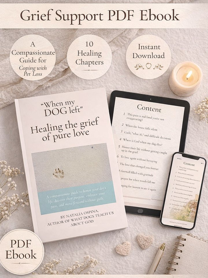 Heal Grief of Losing Your Pet: Pure Love – Healing Guide product image (1)