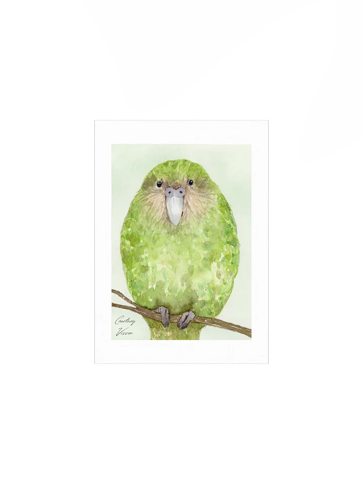 Kākāpō print product image (1)