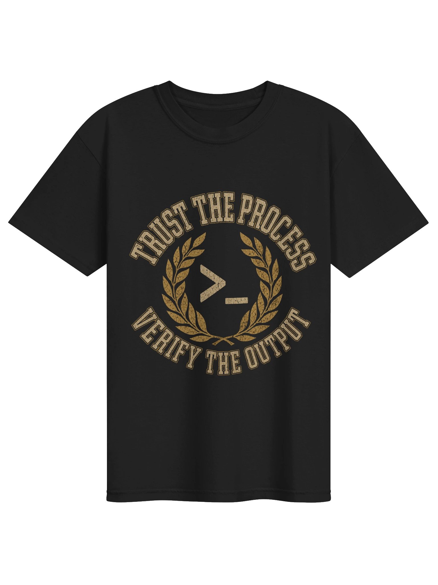 Trust the Process. Verify the Output. Tee product image (1)