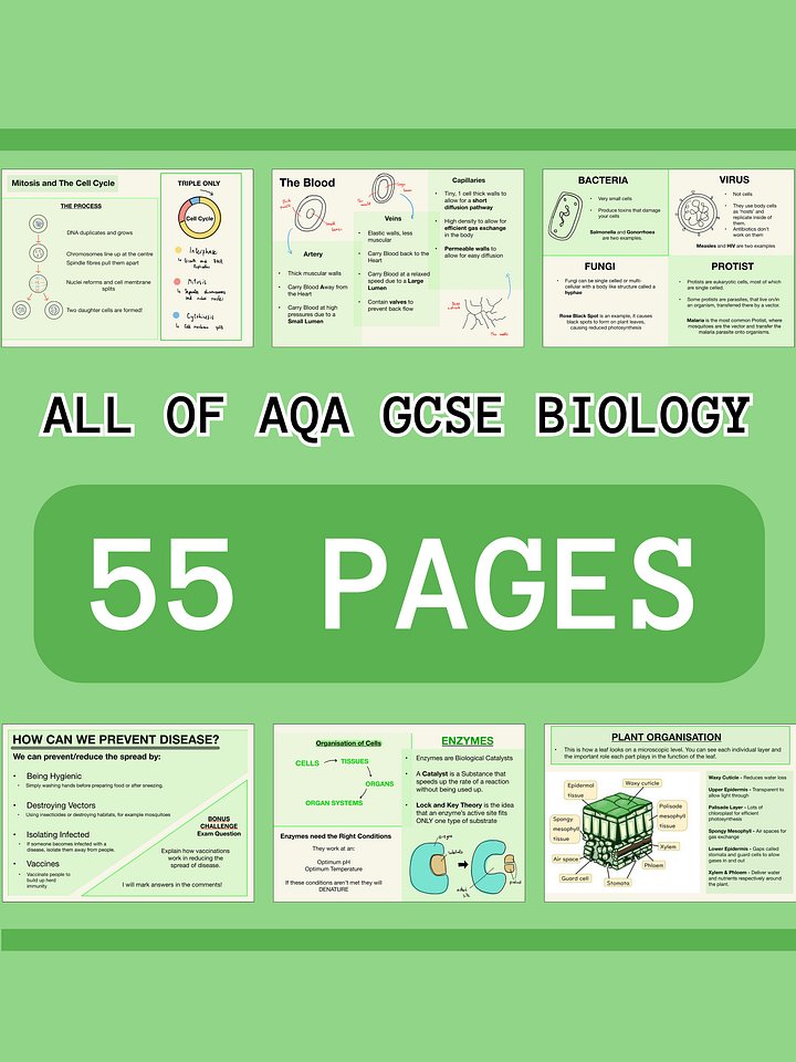 The WHOLE of AQA GCSE Biology Revision Notes (50+ Pages) | Revision Made Easy product image (1)