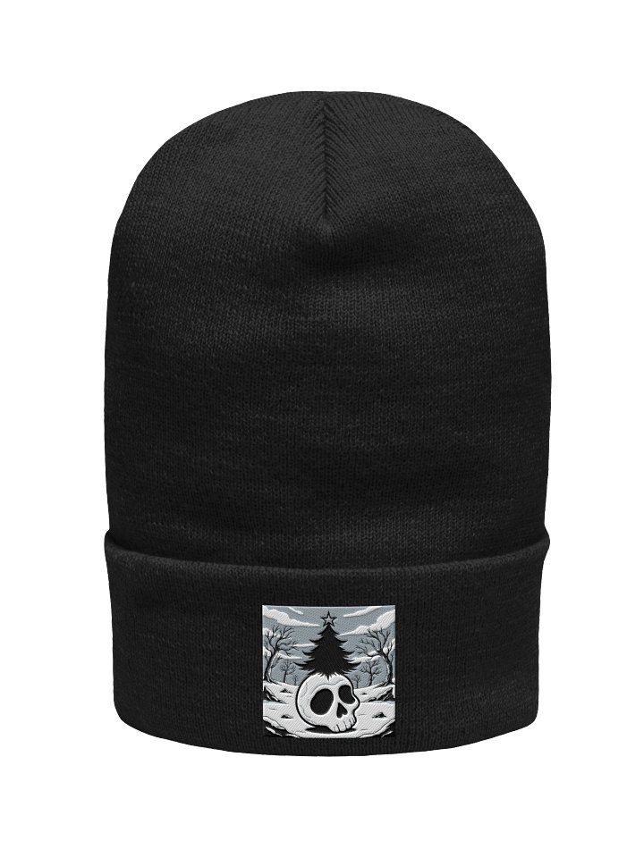 skull beanie product image (1)