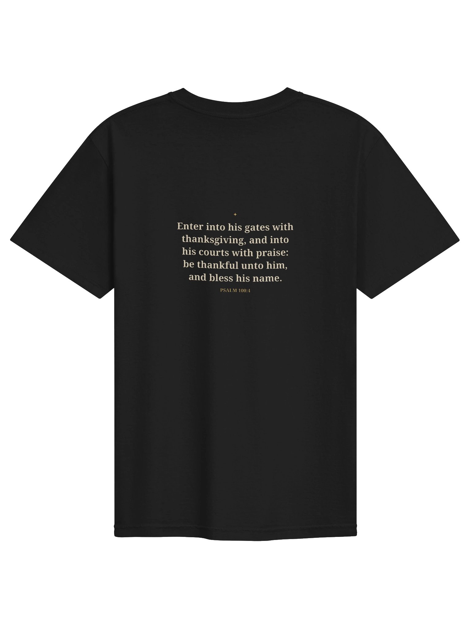 Enter Into His Gates Tee product image (6)