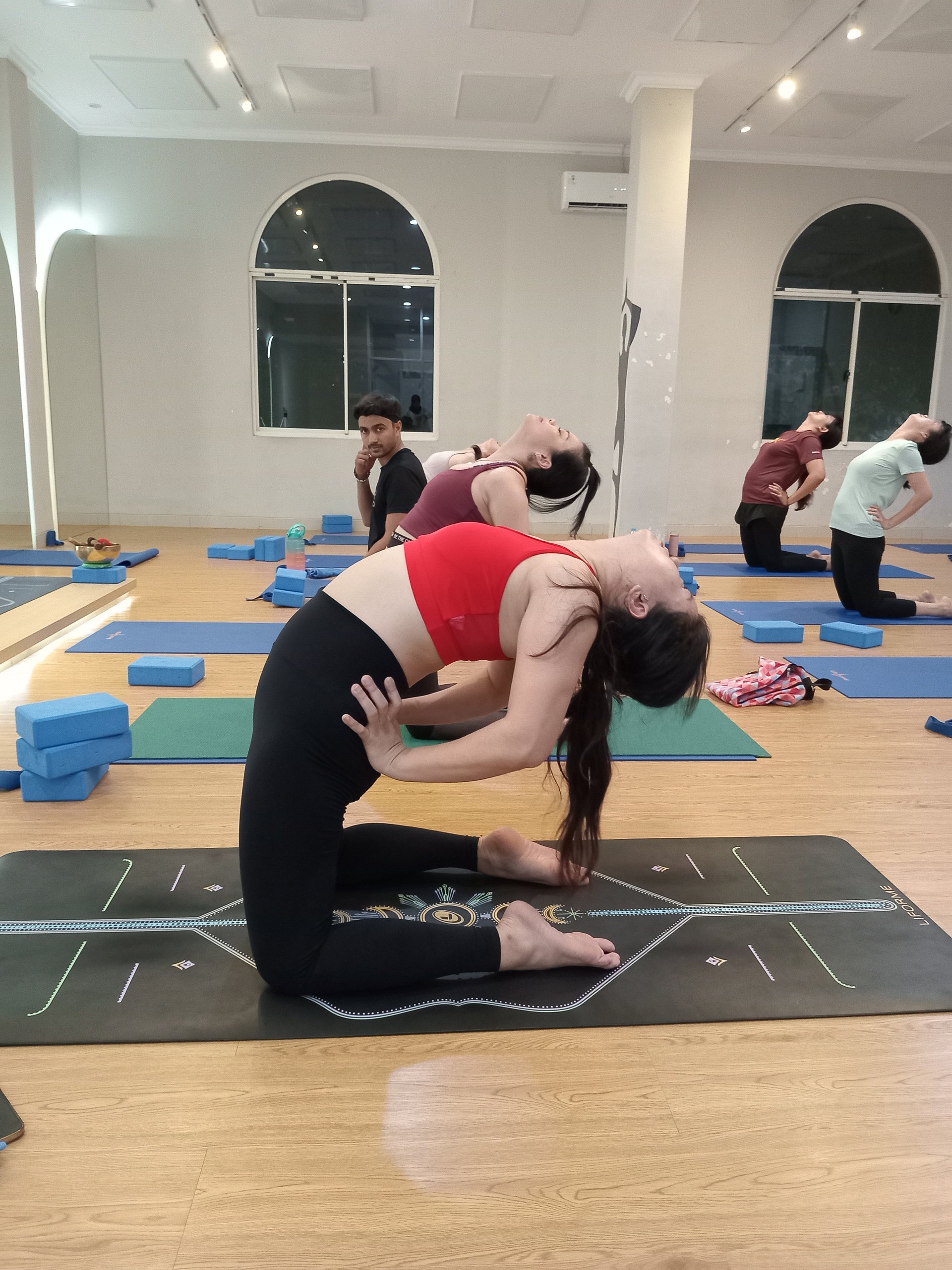 Hatha Yoga Power Hour: 60-Minute Flow | 400+calory Burning | Traditional + Creative Flow | Level ★★★ product image (1)