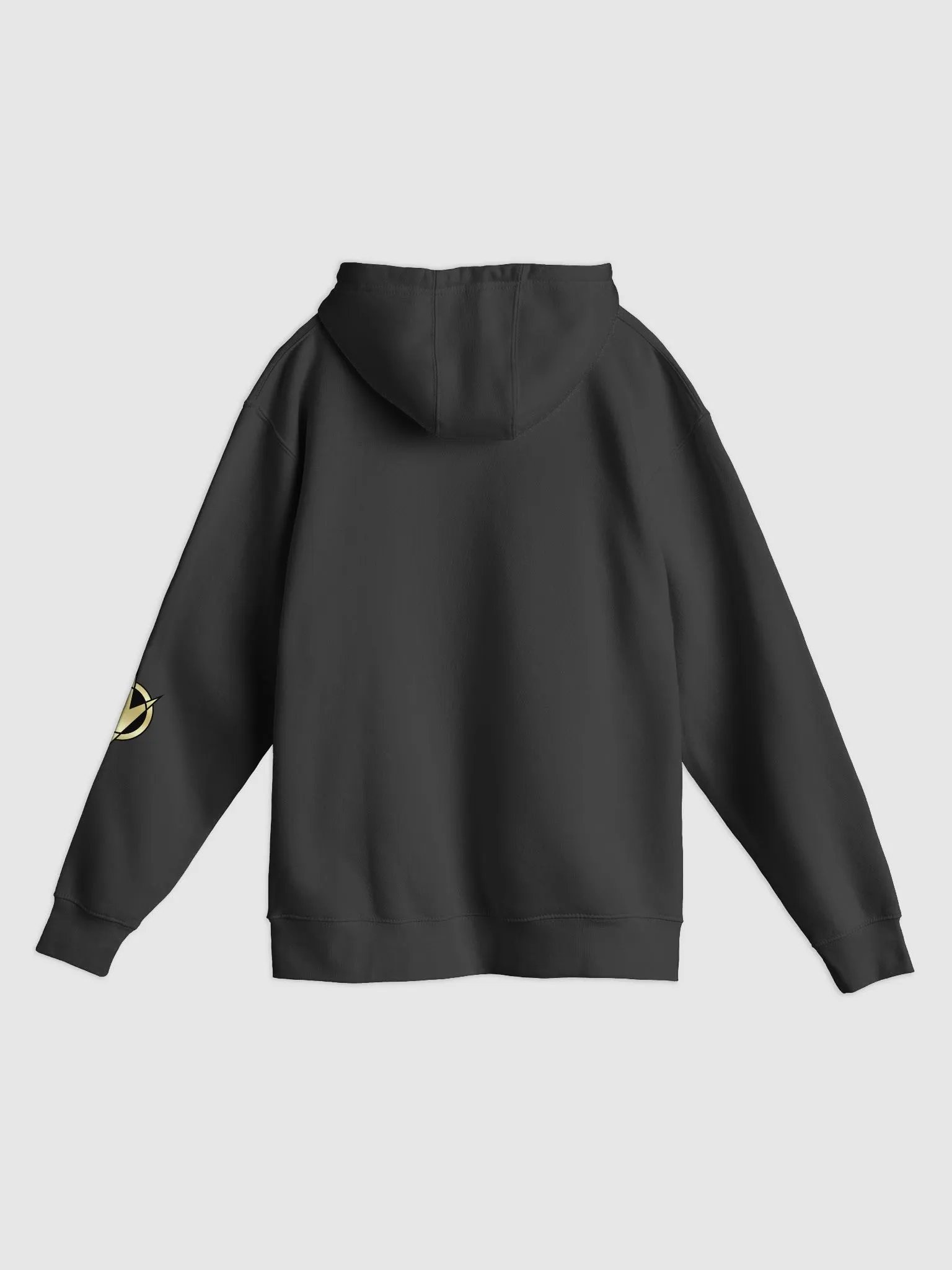 PRDT Team Hoodie product image (2)