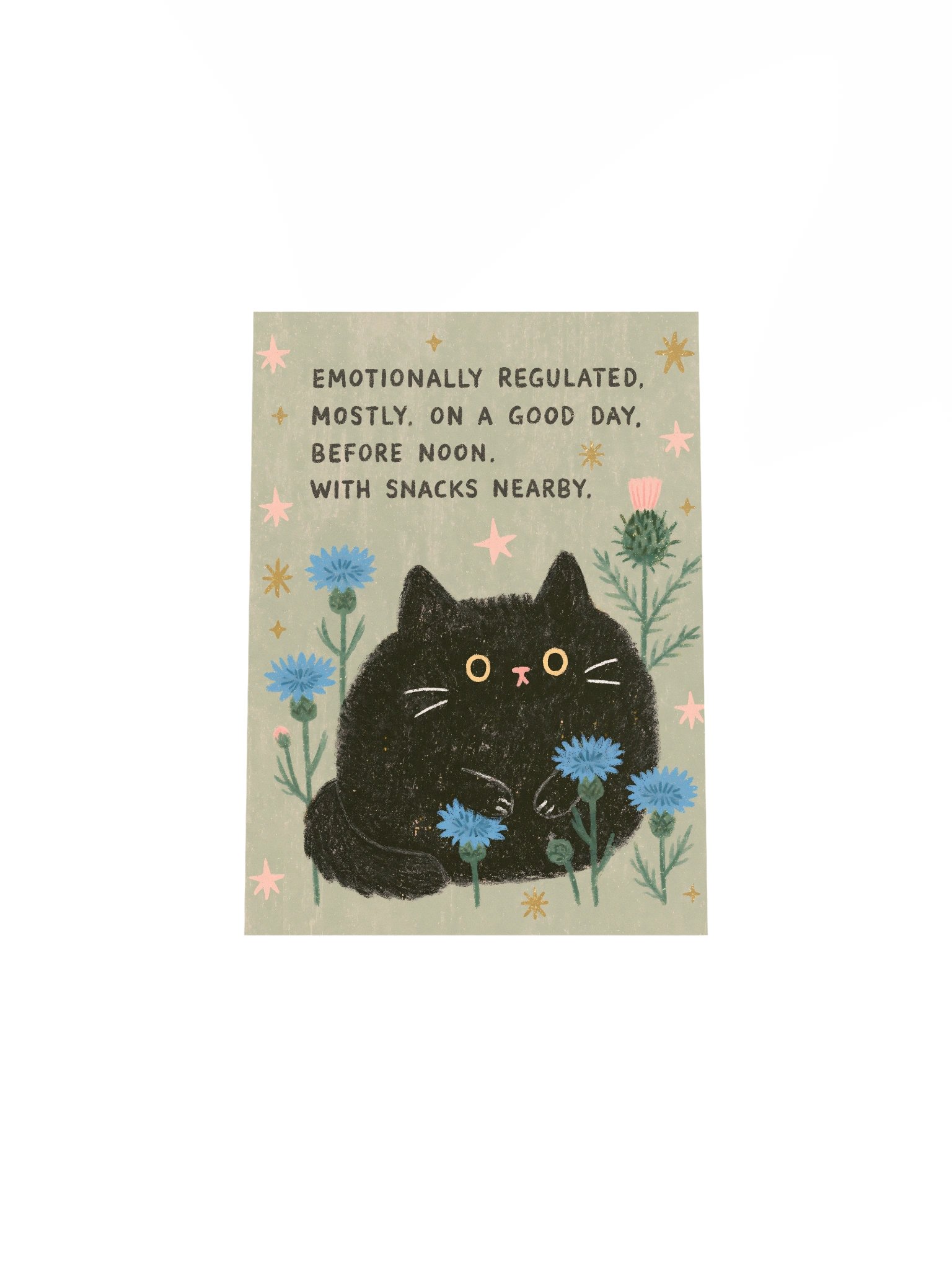 Mostly Regulated Cat Poster product image (31)