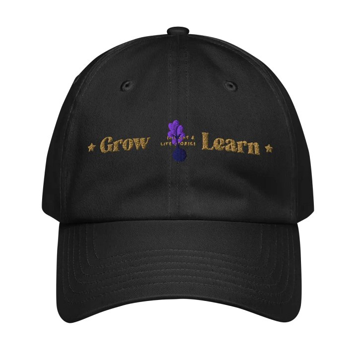 Insights & Ideas Floral Dad Hat product image (1)