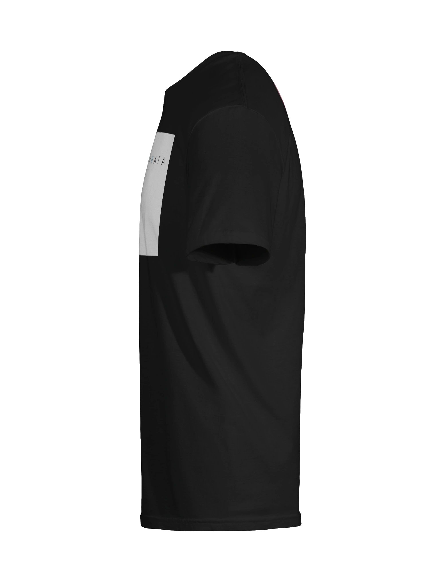 Pragmata JAE edition product image (19)