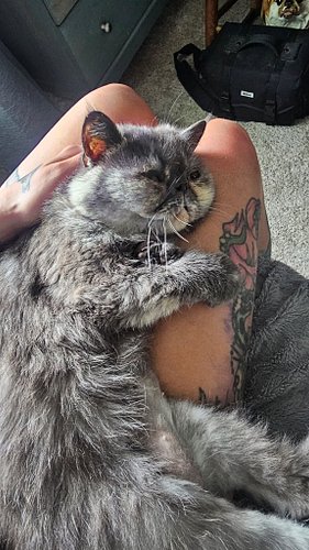 I'm going to miss her too fuckin much. 😭😭😭