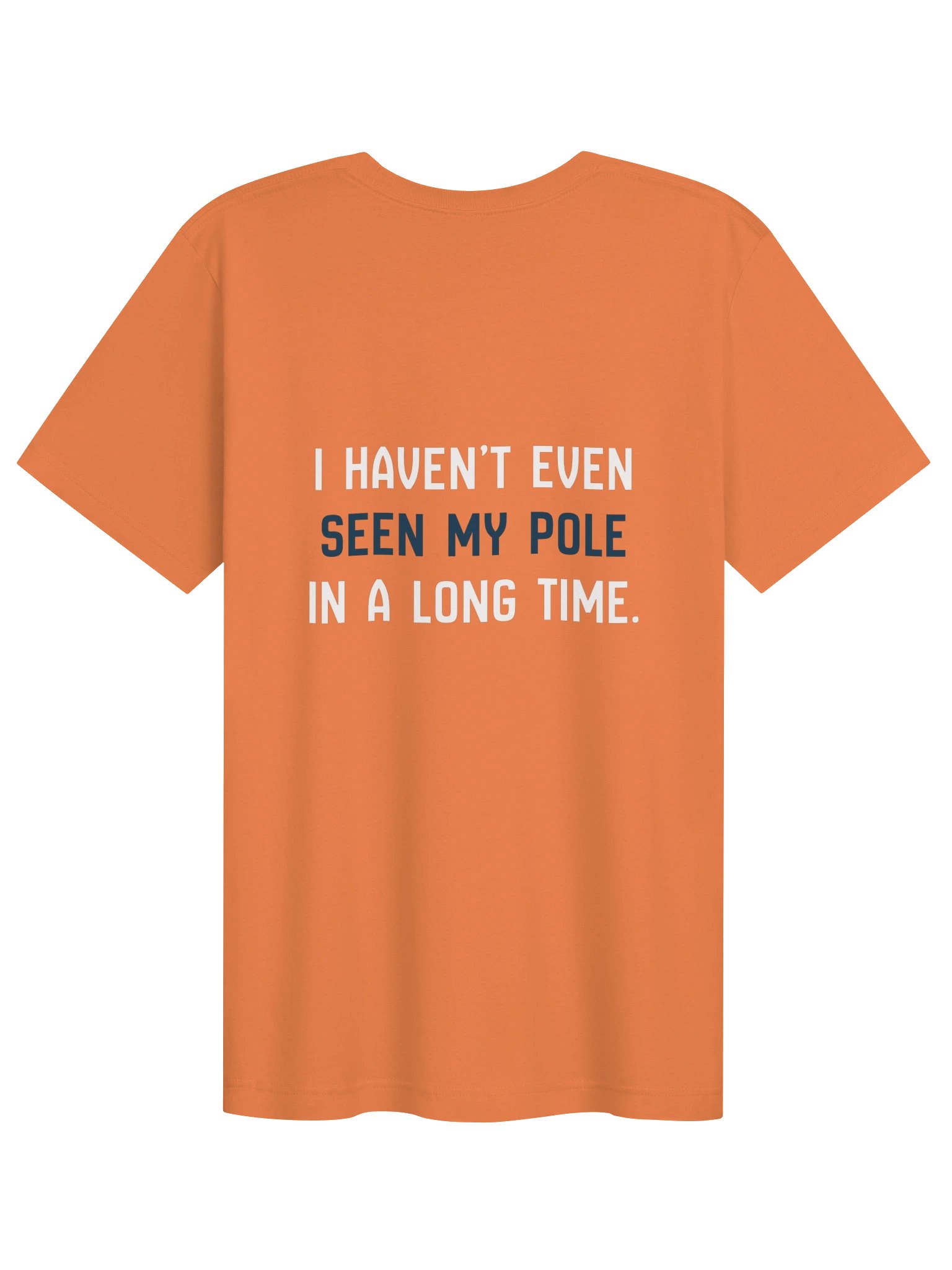 Haven't Even Seen My Pole Tee (Burnt Orange) product image (2)