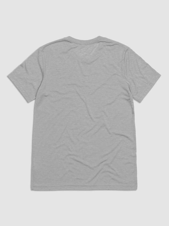 Lake Forest Latin Club Tri-Blend T-Shirt product image (19)