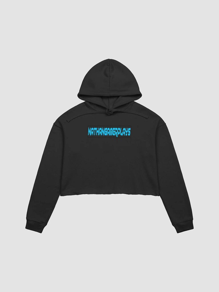NathanGamerplays Hoodie product image (3)