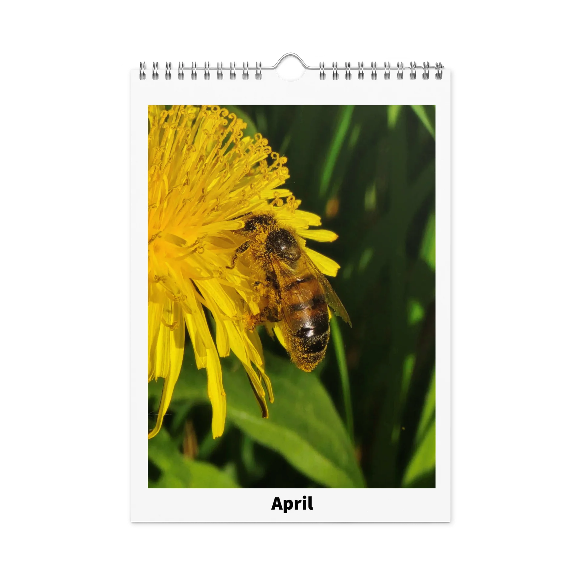 Ian's Insect Calendar product image (1)