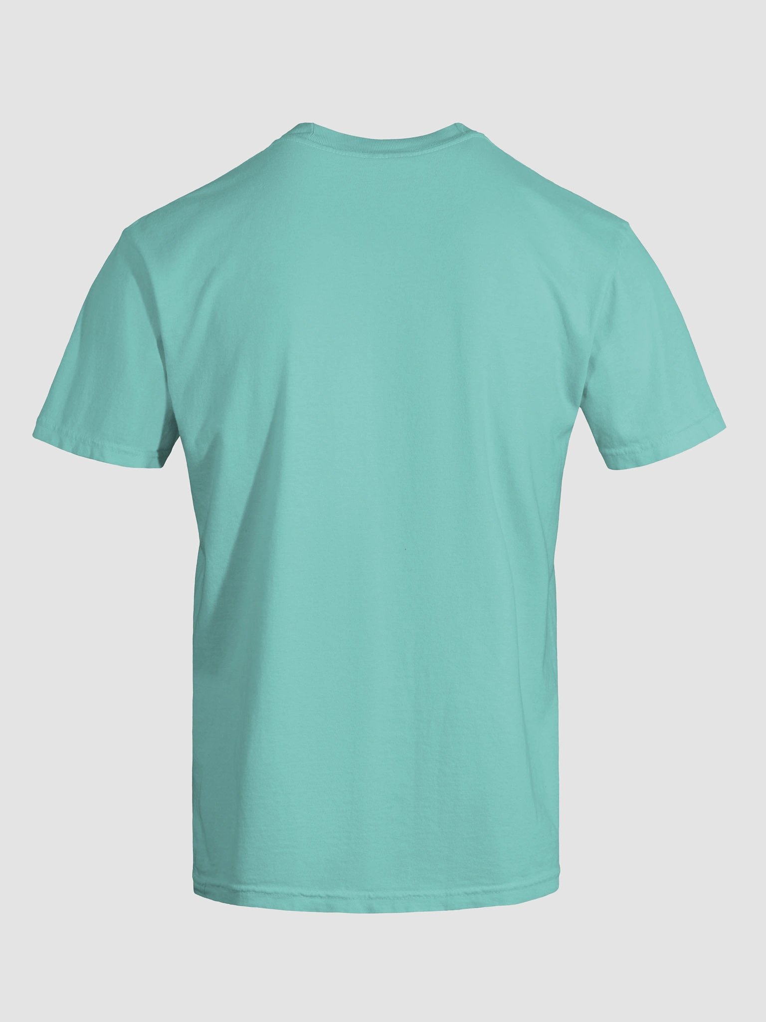 MONSTER UP : Comfort Colors Garment-Dyed Heavyweight T-Shirt product image (75)