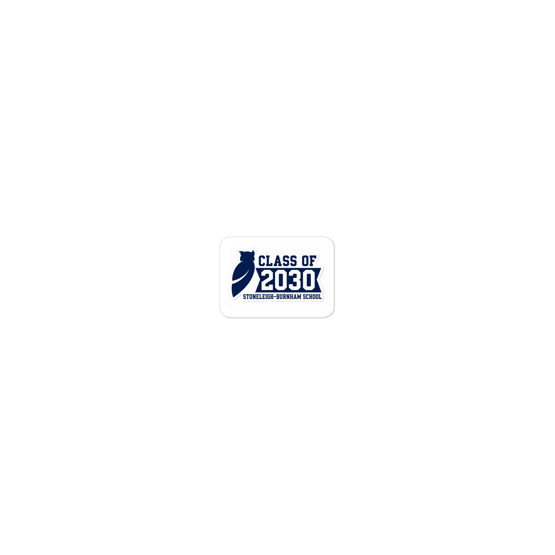Class of 2030 Owl School Sticker product image (1)