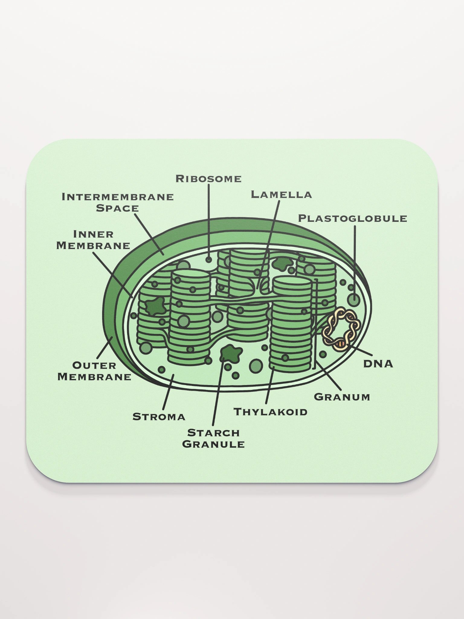 Chloroplast Diagram Mousepad product image (2)