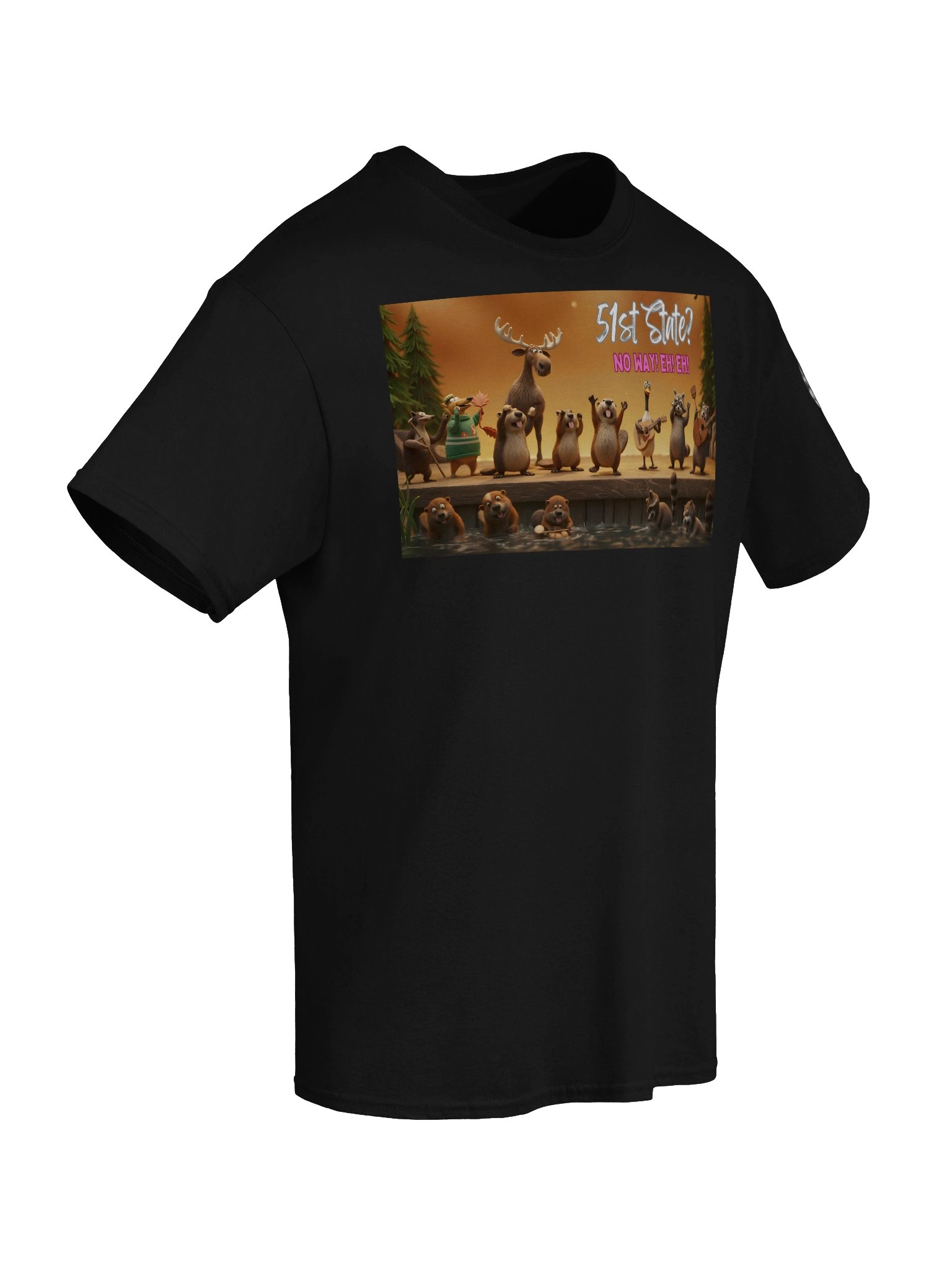 51st State? | Essential Character Ensemble Tee (Black) product image (8)