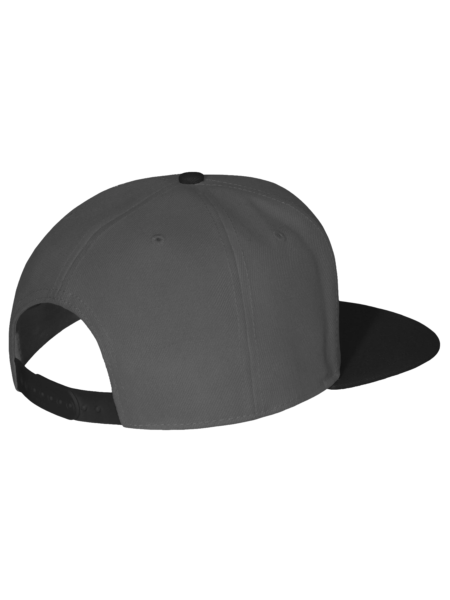 Logo Snapback Cap product image (3)