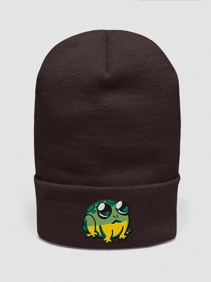 Froog Beanie product image (2)