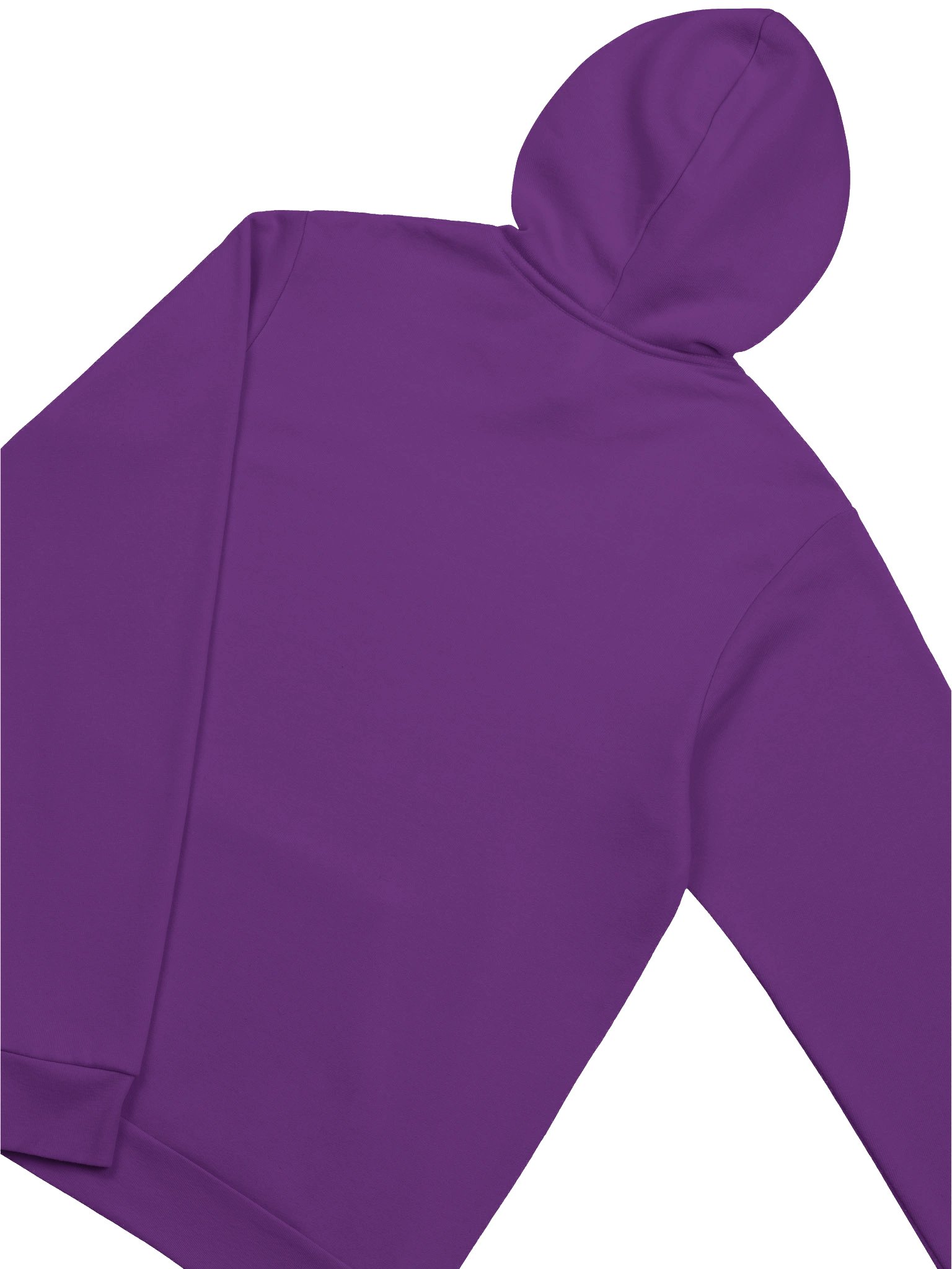 CS Hoodie product image (40)