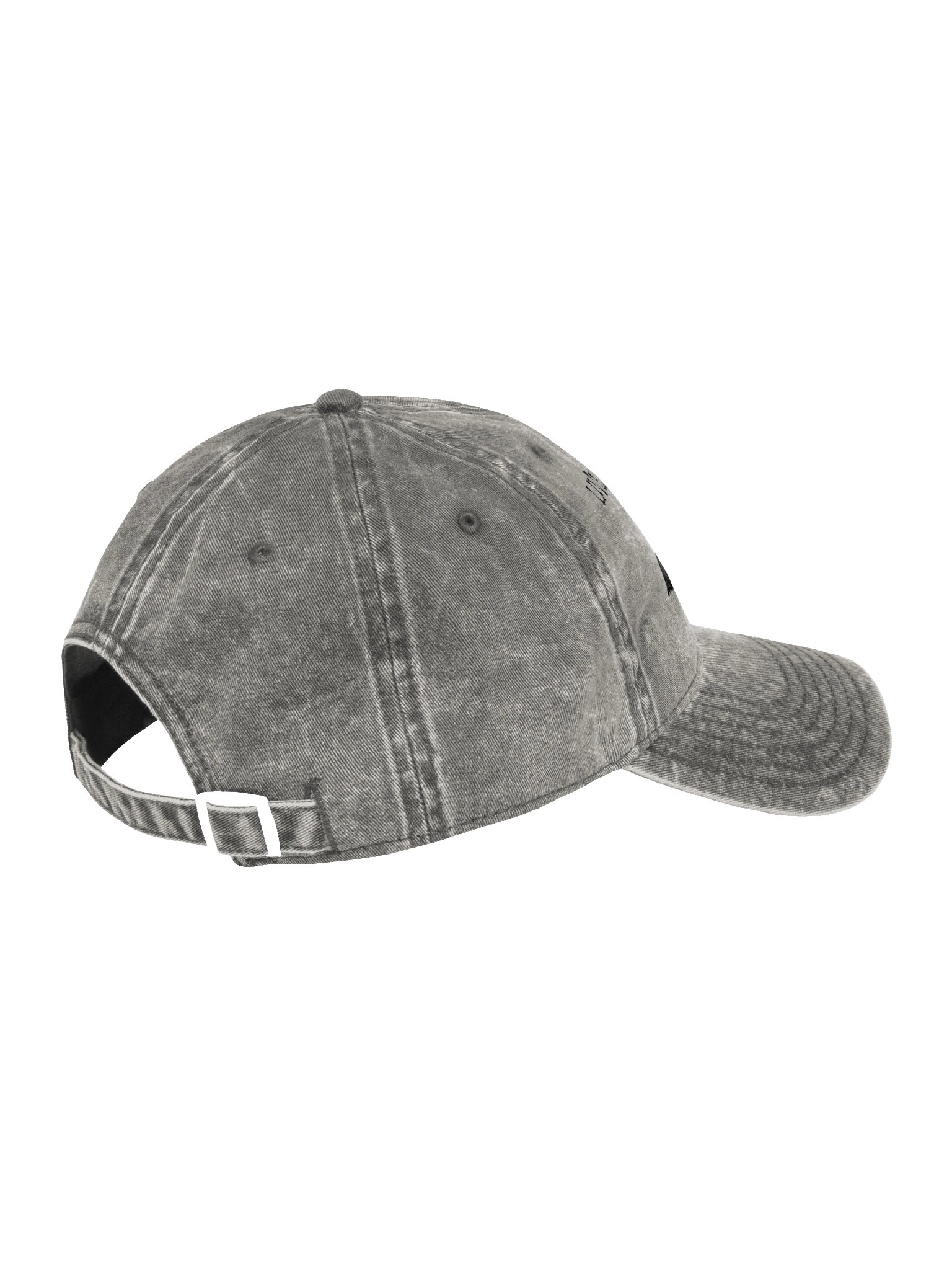 Live Laugh Loon Vintage Hat | Retro Bird Lover Cap | Garment-Washed Dad Hat product image (25)