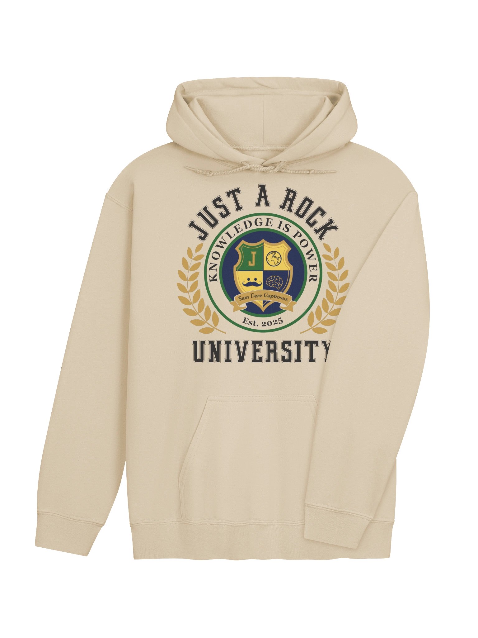 Just a Rock University Hoodie product image (4)