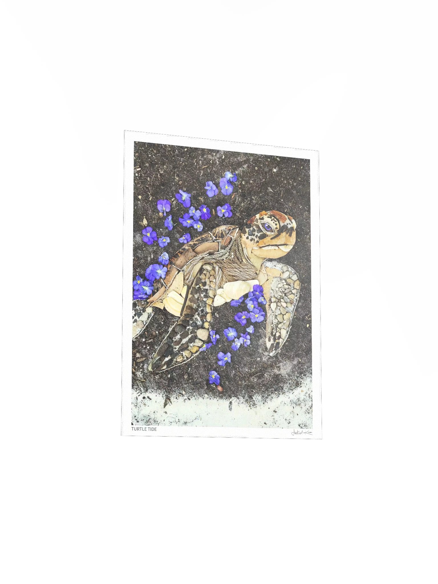TURTLE TIDE | Fine Art Print product image (4)